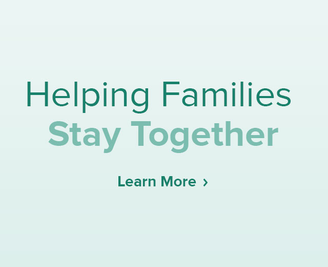 Family preservation and reunification