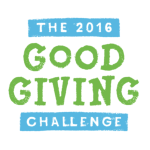 good giving guide challenge